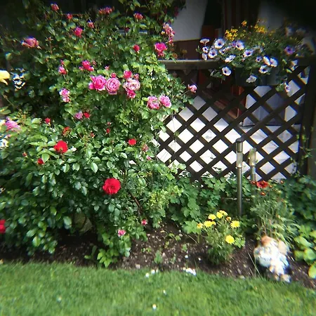 Гостевой дом Haus Sonnenhang