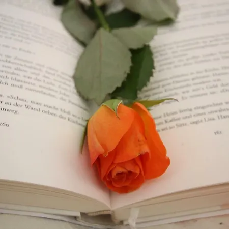 Haus Sonnenhang Гостевой дом Зёльден