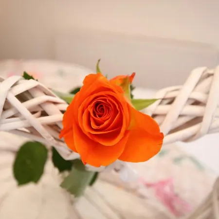 Гостевой дом Haus Sonnenhang