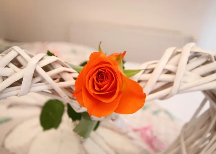 Affittacamere Haus Sonnenhang